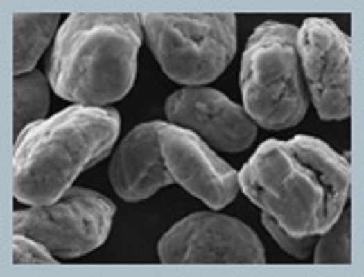 0,5% carbonos altos 0.9-1.05g/Cc de Li Ion Graphite 5um-25um 97-99.98% da umidade